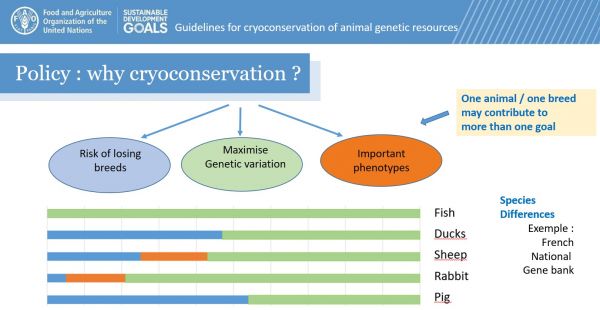 FAO_Cryoconservation